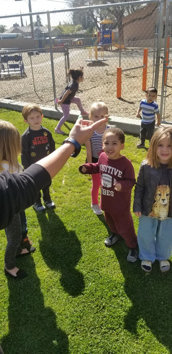 Our Butterflies have Emerged!