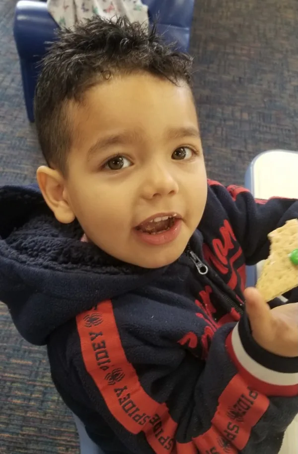 We're Learning About Owls!