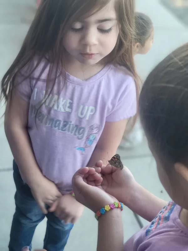 Our Butterfly Science Experiment