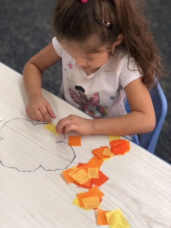 Our Study on California